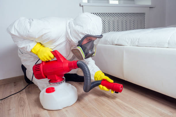 Best Pest Prevention Services  in Mentone, CA