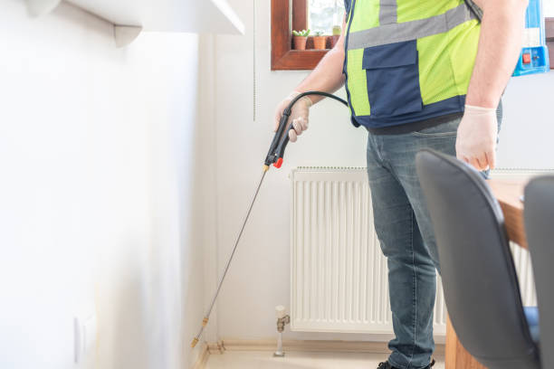 Trusted Mentone, CA Pest Control Experts