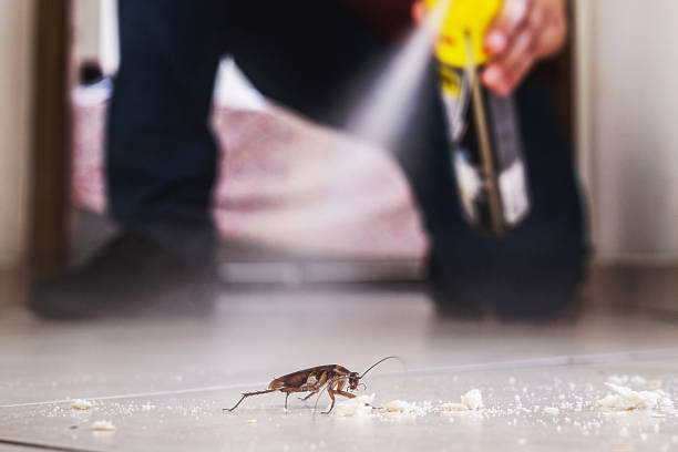 Best Best Pest Control Companies  in Mentone, CA